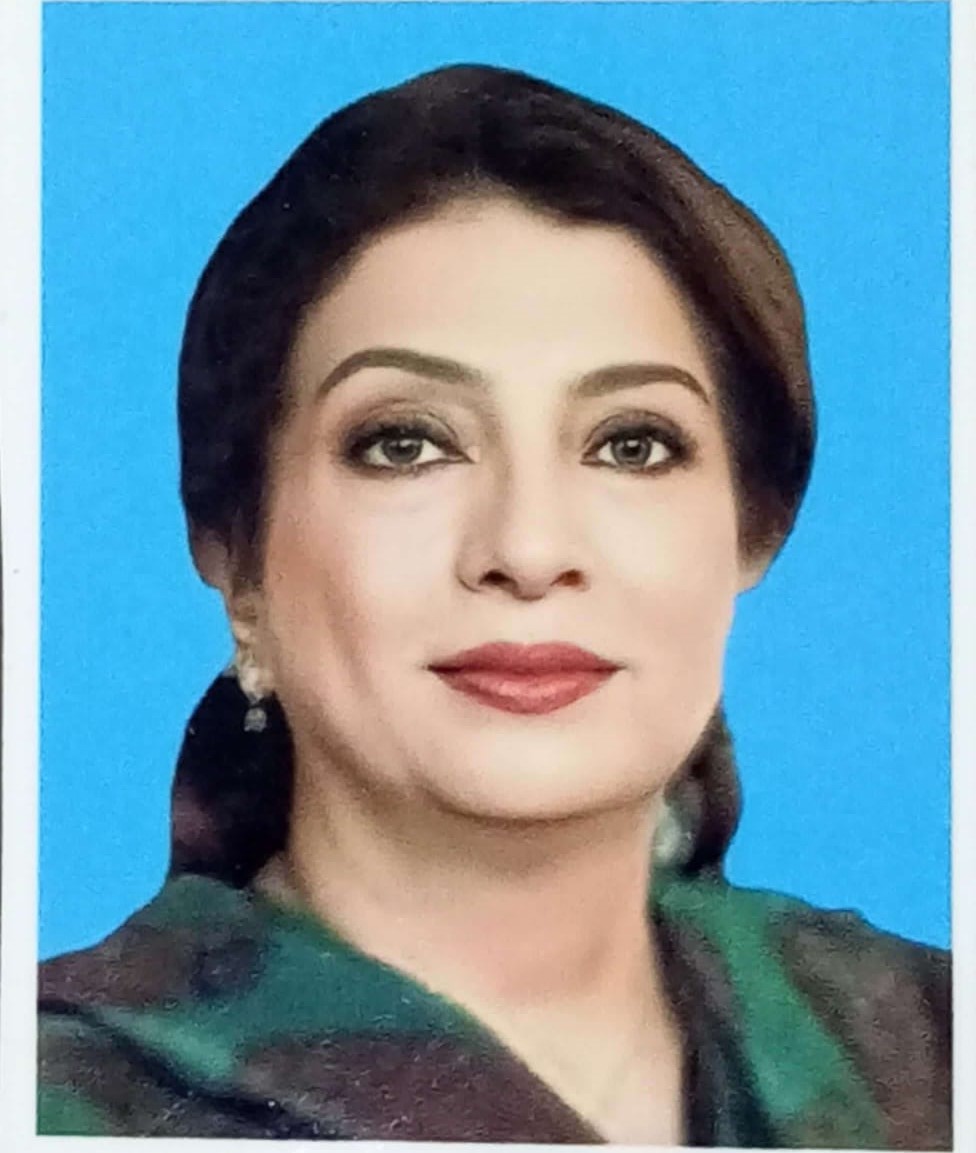 Profile-Image