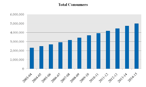Year Wise Gas Consumer